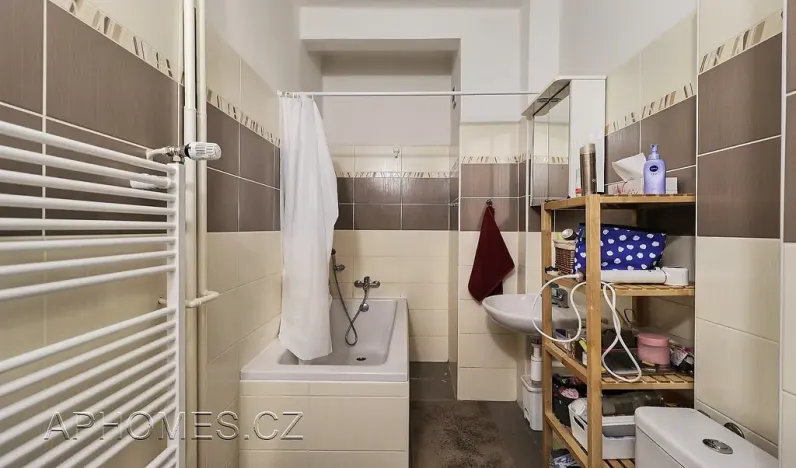 Pronájem bytu 2+1, Praha - Karlín, Thámova, 50 m2