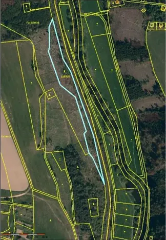 Prodej lesa, Brtnice, 7135 m2