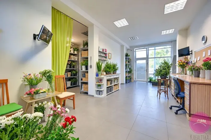 Prodej obchodního prostoru, Olomouc, tř. Míru, 140 m2