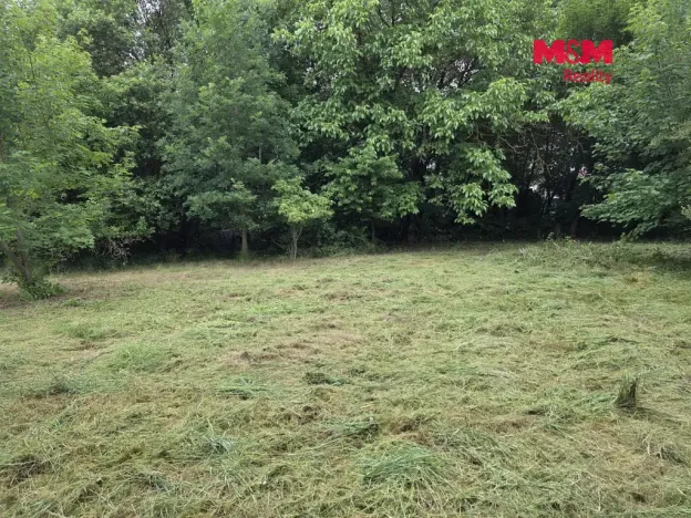 Prodej pozemku pro bydlení, Bor - Boječnice, 1115 m2