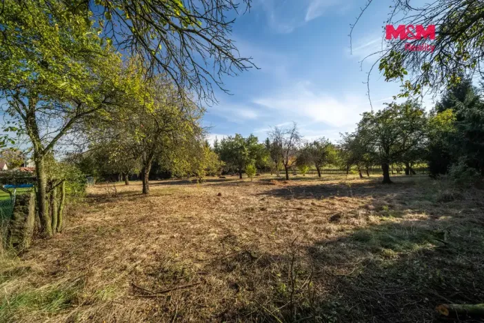 Prodej zemědělské usedlosti, Pavlíkov, 125 m2