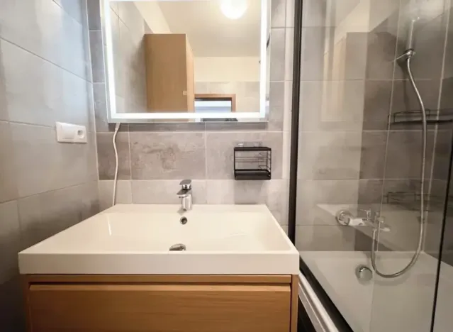 Pronájem bytu 3+kk, Brno, 52 m2