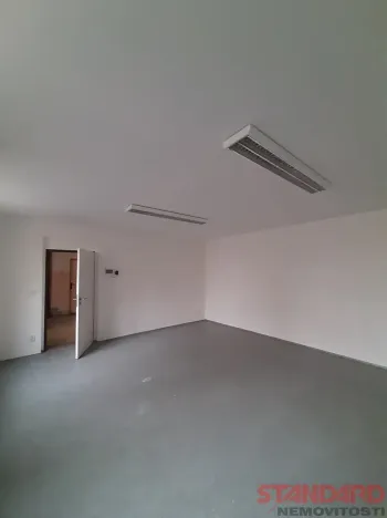 Pronájem komerční nemovitosti, Lužany, 50 m2