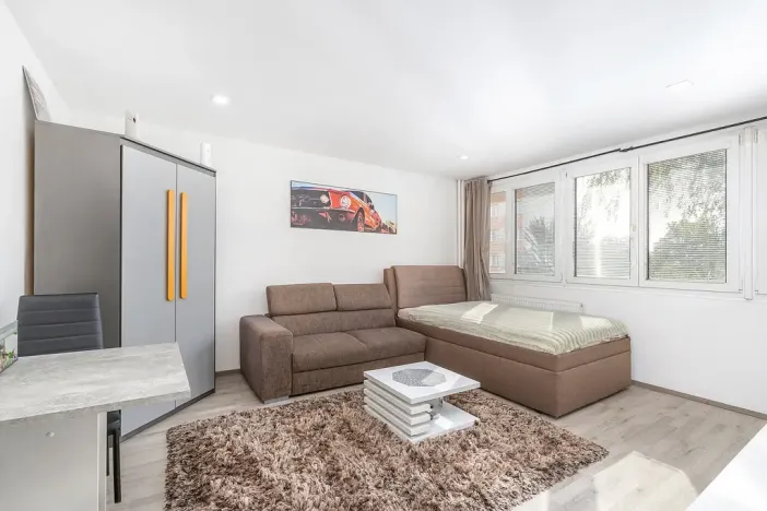 Prodej bytu 1+kk, Hradec Králové - Slezské Předměstí, Severní, 28 m2