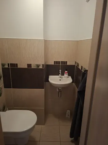 Pronájem rodinného domu, Staré Město, 180 m2