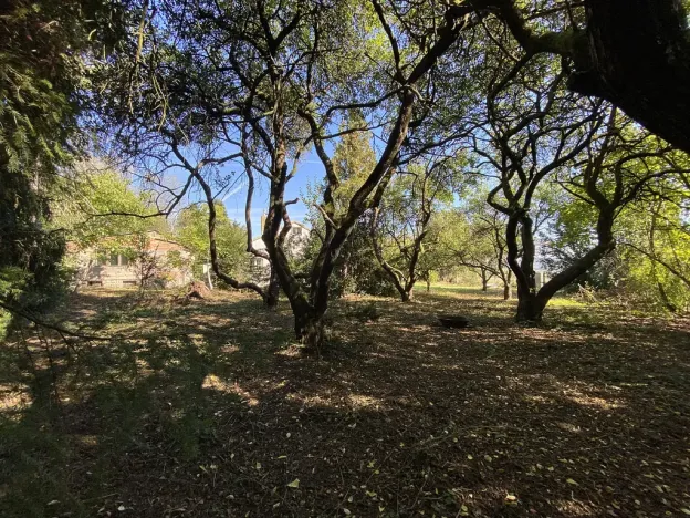 Prodej pozemku, Nová Ves pod Pleší, Ke Kapli, 1605 m2