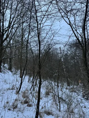 Prodej pozemku, Kralupy nad Vltavou, 719 m2
