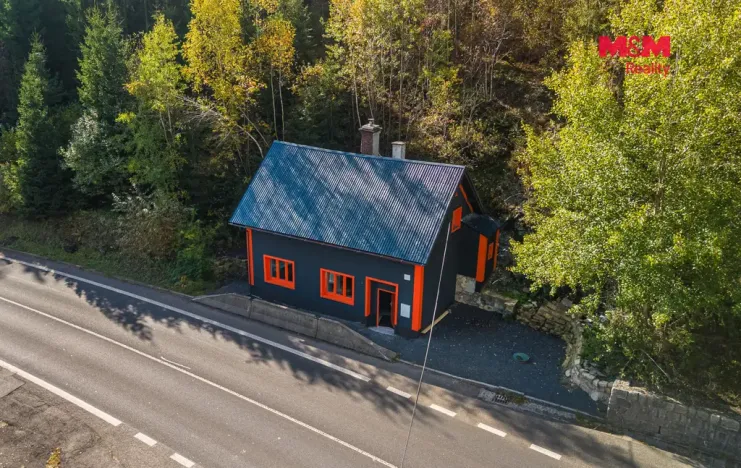 Prodej obchodního prostoru, Železný Brod - Těpeře, 100 m2