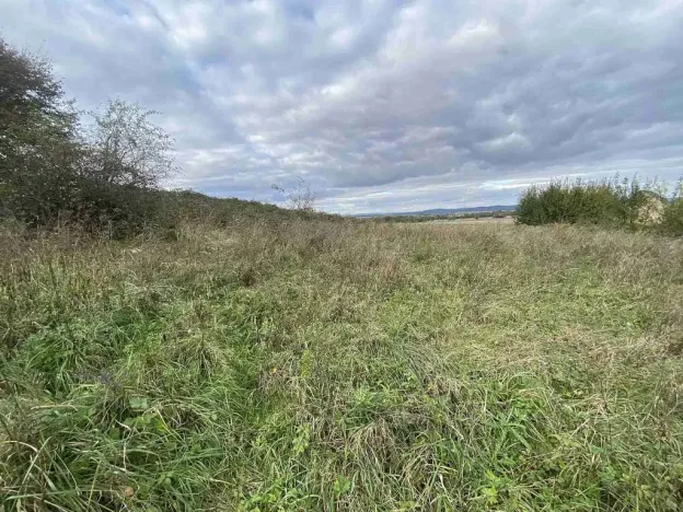 Prodej pozemku, Javorník - Horní Hoštice, 1651 m2