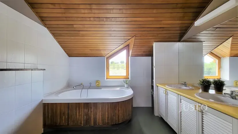 Prodej rodinného domu, Čížová, 346 m2