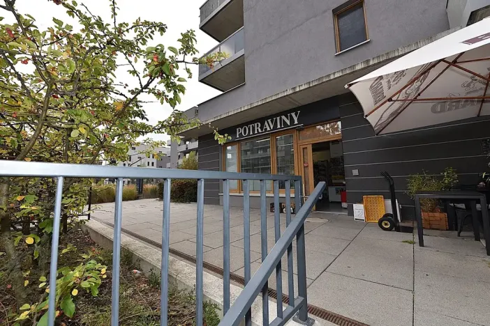 Prodej bytu 3+kk, Praha - Hloubětín, Waltariho, 91 m2