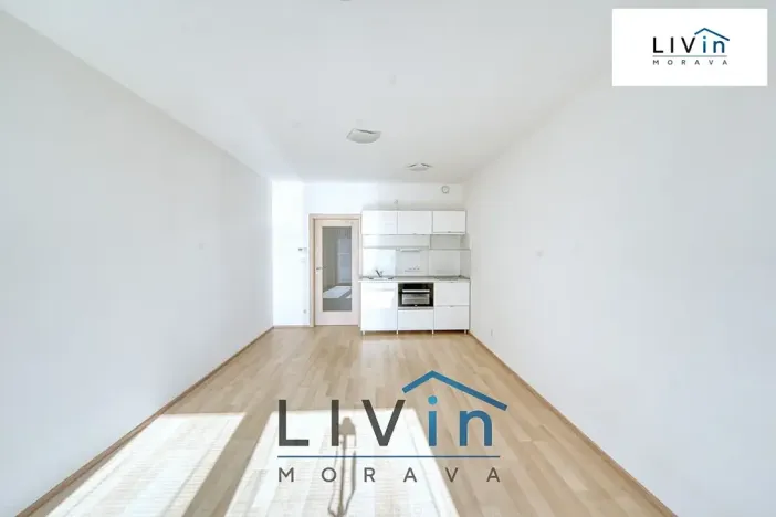 Pronájem bytu 1+kk, Olomouc, Rokycanova, 43 m2