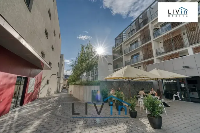 Pronájem bytu 1+kk, Olomouc, Rokycanova, 43 m2