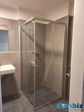 Pronájem bytu 1+kk, Praha - Karlín, Švarcova, 31 m2