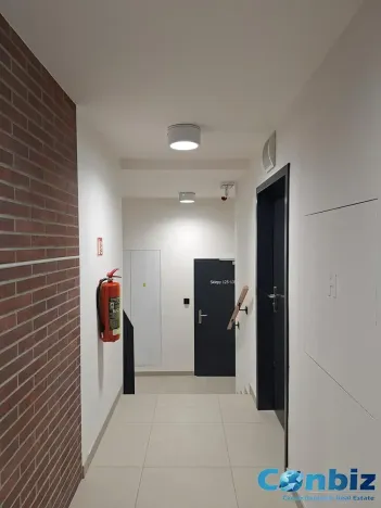 Pronájem bytu 1+kk, Praha - Karlín, Švarcova, 31 m2