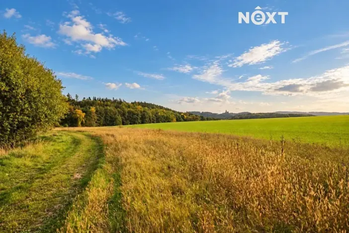 Prodej pozemku pro bydlení, Pavlov, 1300 m2