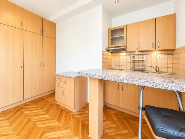 Pronájem bytu 1+kk, Praha - Žižkov, Biskupcova, 30 m2