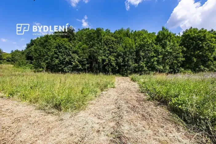 Prodej pozemku pro bydlení, Velemín, 5381 m2