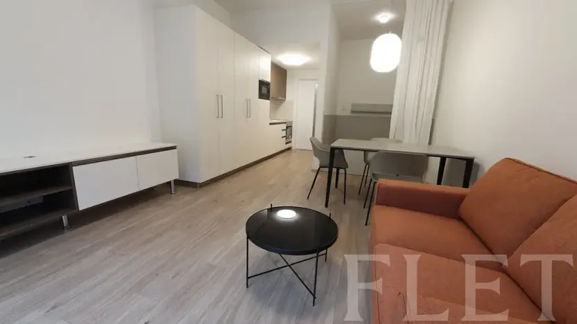 Pronájem bytu 1+kk, Praha - Žižkov, Hartigova, 38 m2