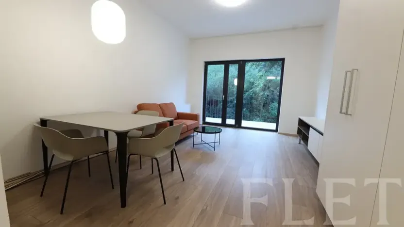 Pronájem bytu 1+kk, Praha - Žižkov, Hartigova, 38 m2
