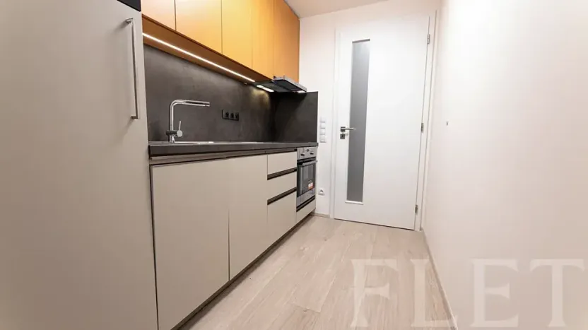 Pronájem bytu 1+kk, Praha - Žižkov, Hartigova, 34 m2