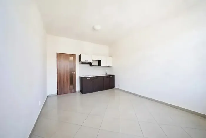 Prodej bytu 1+kk, Brno, Svitavská, 29 m2