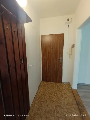 Prodej bytu 1+1, Frýdek-Místek, Anenská, 40 m2