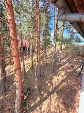 Prodej chalupy, Trnava, 124 m2