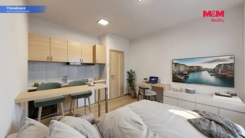 Prodej bytu 1+kk, Teplice - Trnovany, U Vlastního krbu, 19 m2