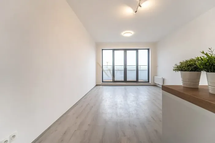 Pronájem bytu 1+kk, Brno, Opuštěná, 29 m2