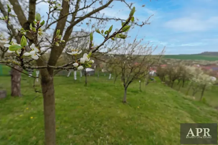 Prodej rodinného domu, Boršice u Blatnice, 105 m2