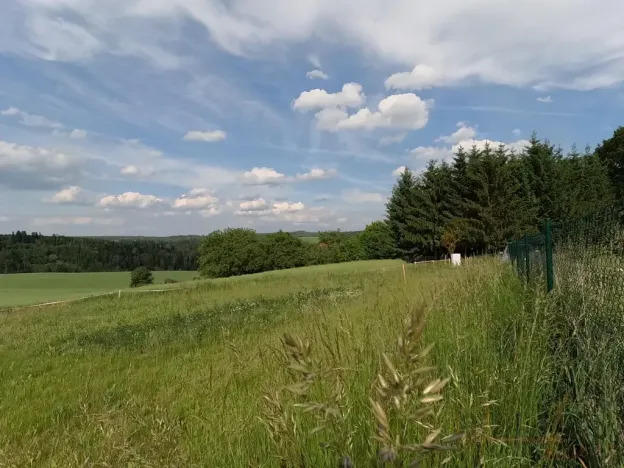 Prodej pozemku pro bydlení, Zbizuby, 1000 m2