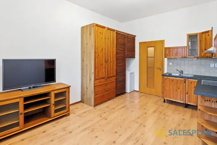 Prodej bytu 2+kk, Praha - Žižkov, Havlíčkovo náměstí, 34 m2