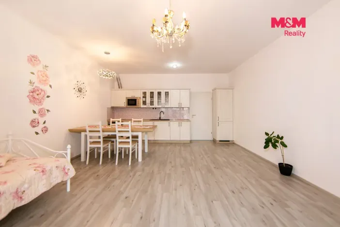 Prodej bytu 2+kk, Plzeň - Jižní Předměstí, Železná, 65 m2