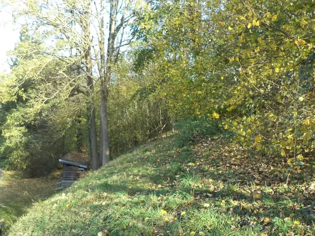 Dražba pozemku pro bydlení, Nové Hrady, 813 m2