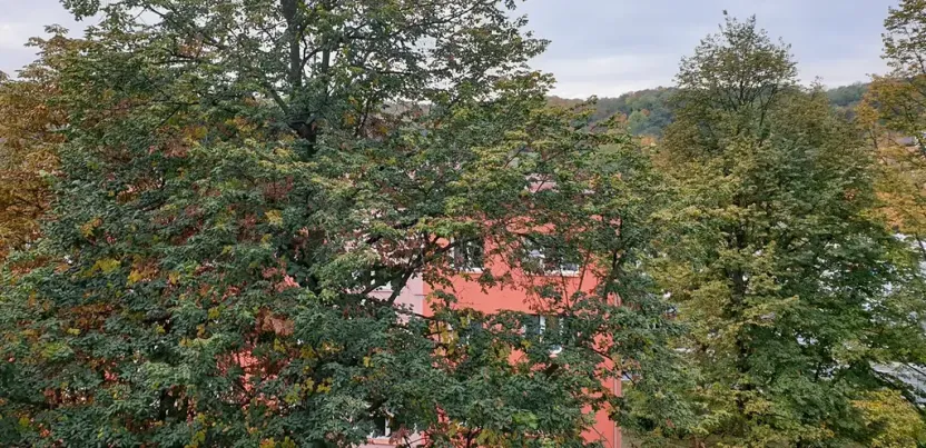 Prodej bytu 2+1, Ústí nad Labem, 17. listopadu, 50 m2