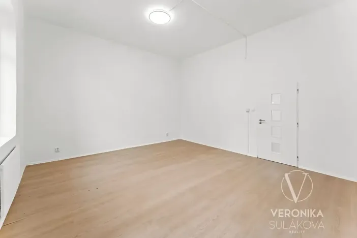 Prodej bytu 1+1, Ústí nad Labem, Žukovova, 45 m2