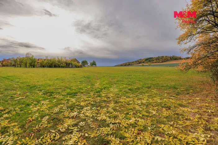 Prodej louky, Lužany - Zelené, 5700 m2
