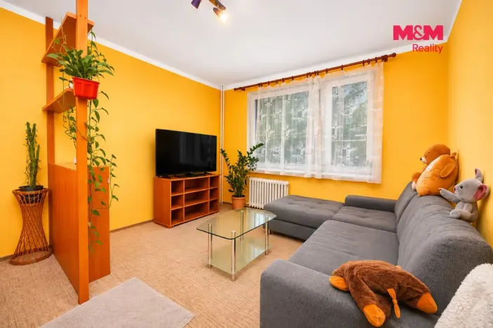 Prodej bytu 1+1, Vysoké Mýto - Litomyšlské Předměstí, U Potoka, 38 m2