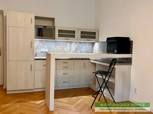 Pronájem bytu 1+kk, Praha - Žižkov, Slavíkova, 30 m2