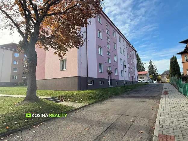 Prodej bytu 2+1, Kynšperk nad Ohří, Svatopluka Čecha, 54 m2