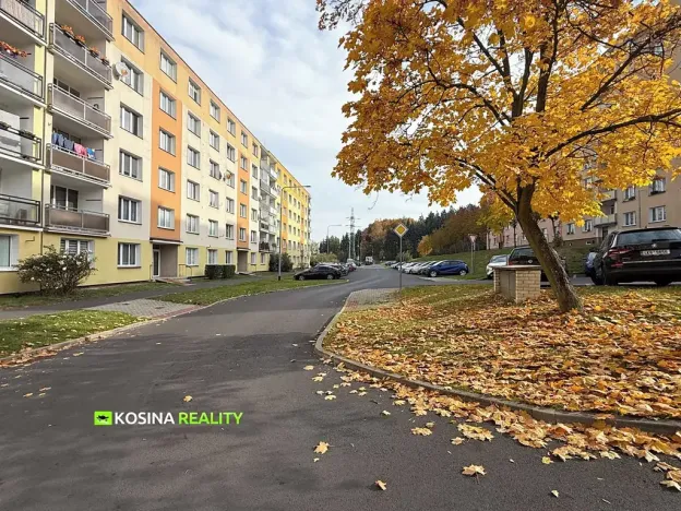 Prodej bytu 3+1, Sokolov, Mánesova, 64 m2