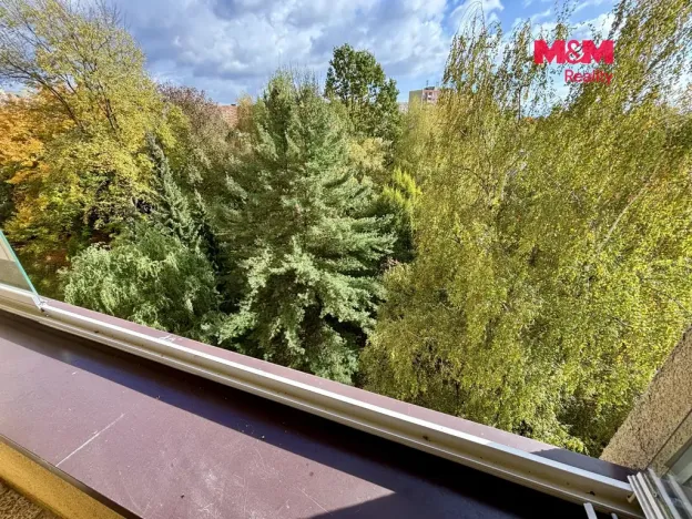 Prodej bytu 2+1, Ostrava - Hrabůvka, Josefa Kotase, 50 m2