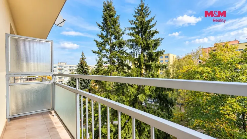 Prodej bytu 3+1, České Budějovice - České Budějovice 3, Kostelní, 66 m2