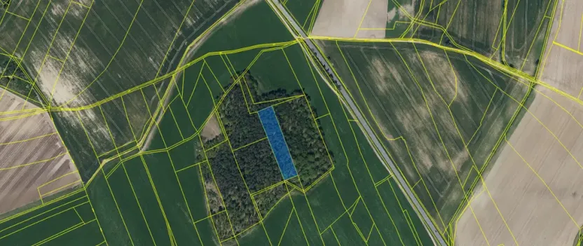 Prodej lesa, Ostřetín - Vysoká u Holic, 5528 m2
