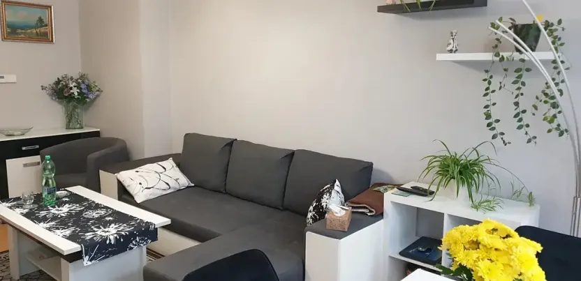 Prodej bytu 3+1, Teplice, Jankovcova, 98 m2