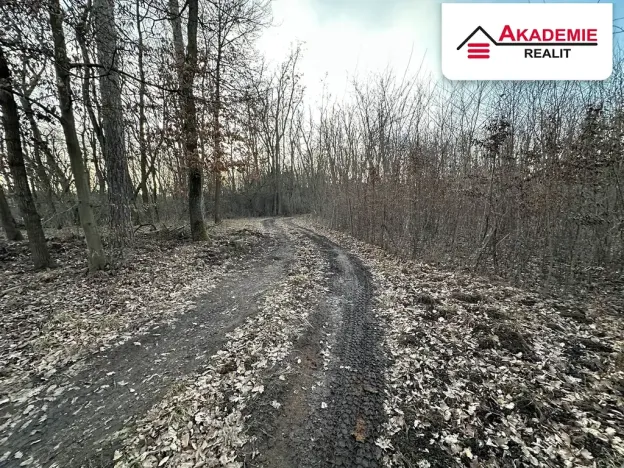 Prodej chaty, Brno, 90 m2