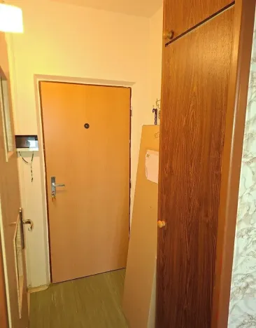 Pronájem bytu 1+1, Horní Bříza, Jedlová, 36 m2