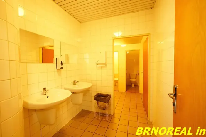 Pronájem kanceláře, Brno, Příkop, 20 m2