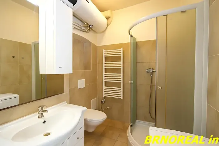 Pronájem bytu 1+kk, Brno, Vodní, 20 m2